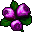Blood Herb