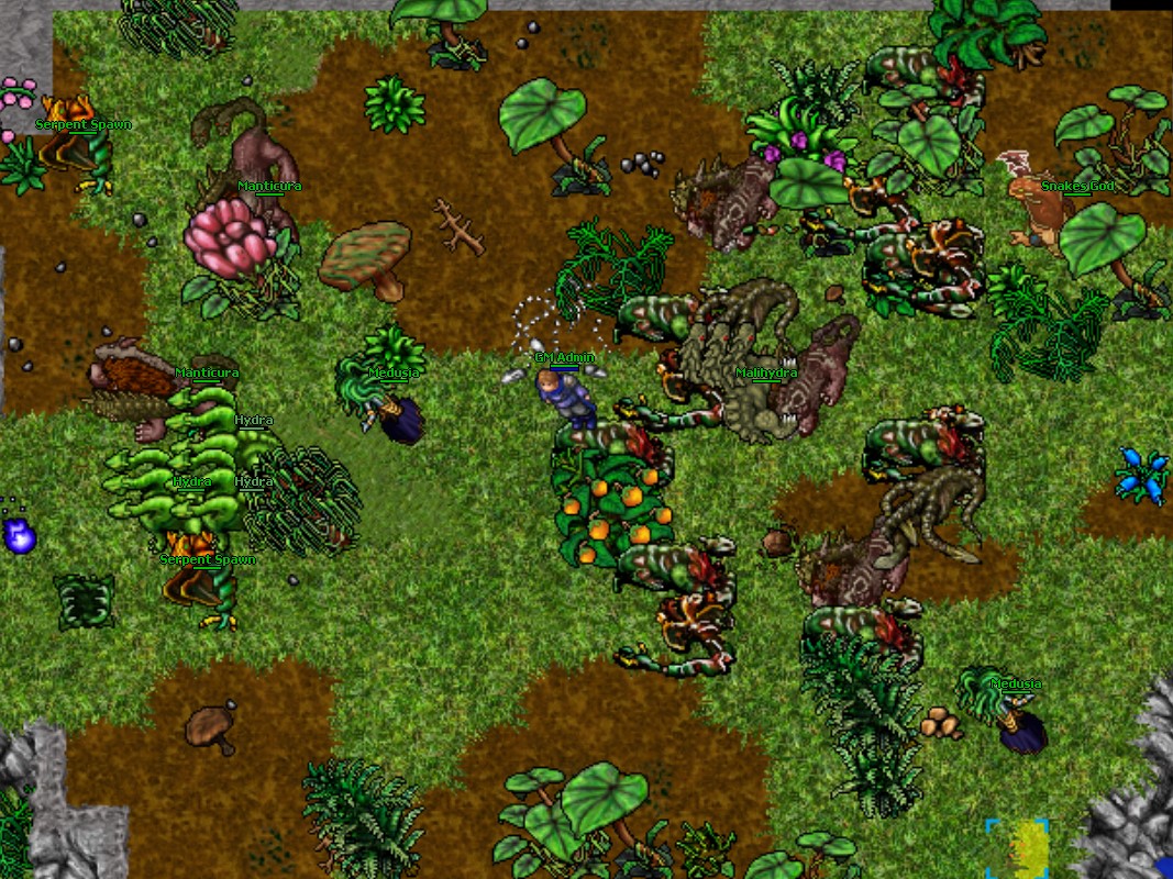Island 2