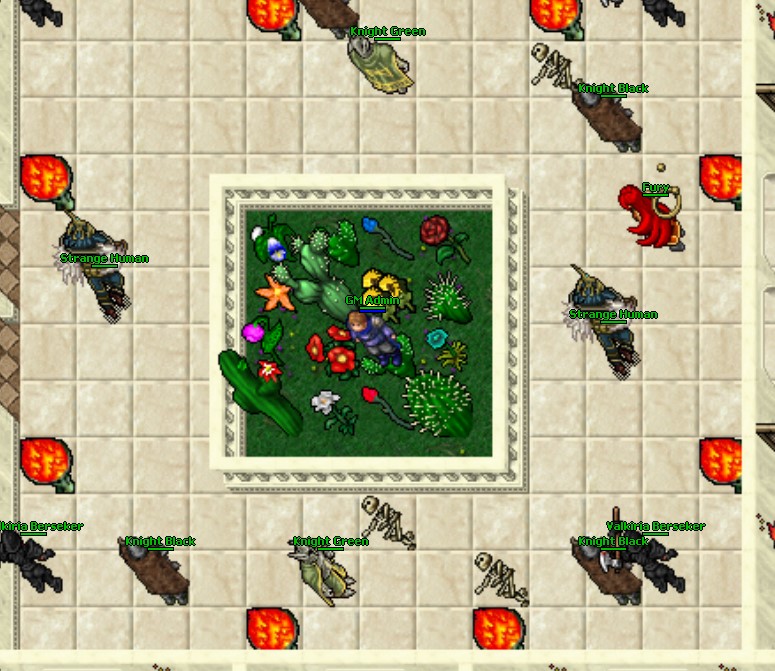 Island 8
