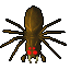 Old Spider