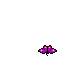 Purple Butterfly
