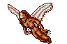 Zerupia